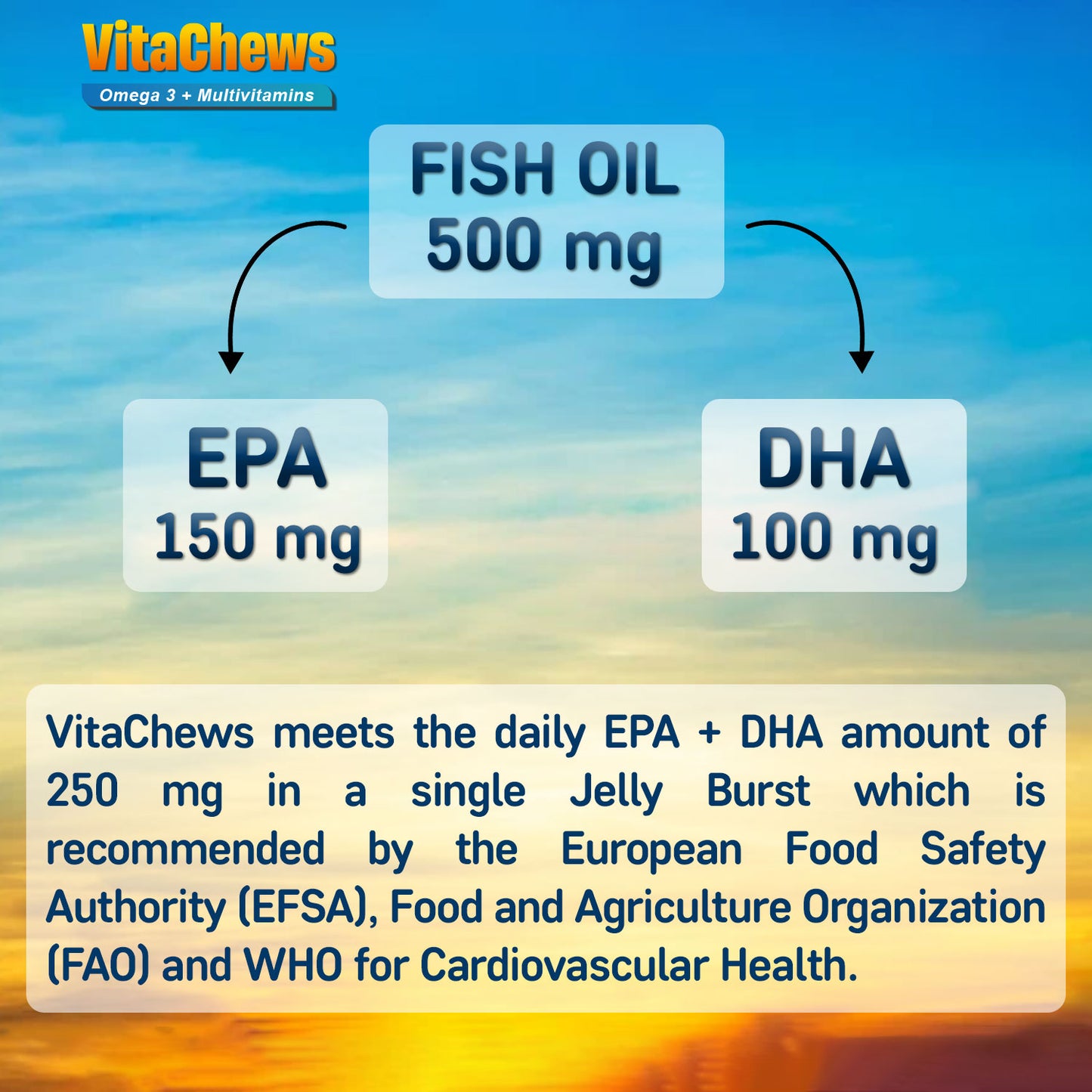 VitaChews Omega 3 Fish Oil + Multivitamin Gummies for Adults