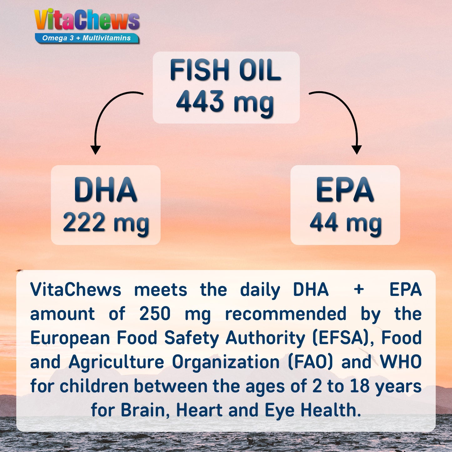 VitaChews Omega 3 Fish Oil + Multivitamin Gummies for Kids