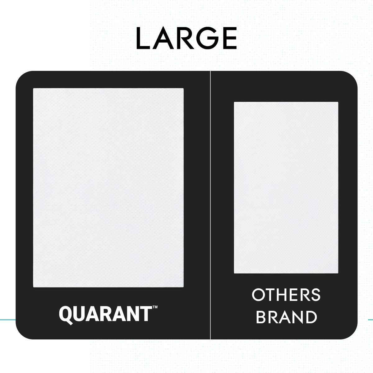 QUARANT Shoe Cleaning Wipes